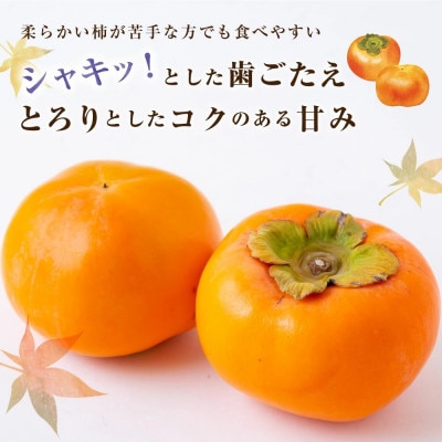 冷蔵富有柿 8～9玉 U064-2KA-RF02