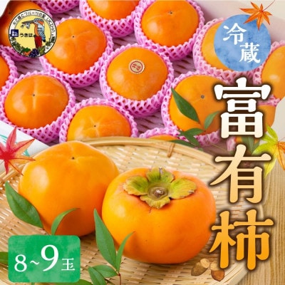 冷蔵富有柿 8～9玉 U064-2KA-RF02