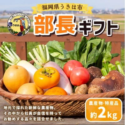 【部長ギフト】道の駅うきは　厳選 旬の果物と野菜の詰め合わせ(約2kg)