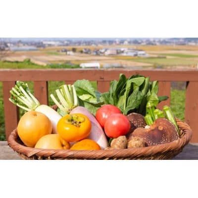 部長ギフト(季節の果物・お野菜) U064-1VE-SEBG