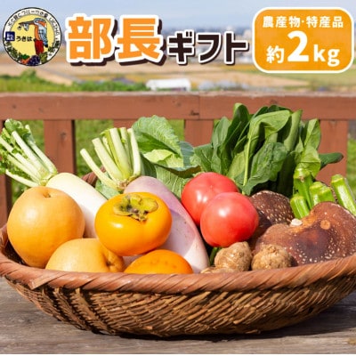 【部長ギフト】道の駅うきは　厳選 旬の果物と野菜の詰め合わせ(約2kg)