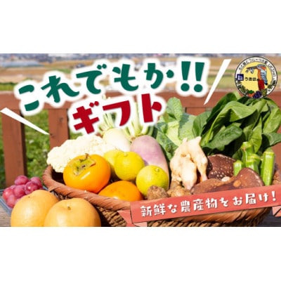これでもか!!ギフト(季節の果物・お野菜) U064-1VE-SEKG