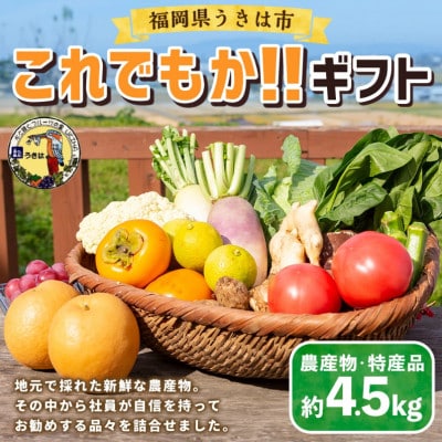 道の駅うきは これでもか!!旬の農産物セット (約4.5kg)