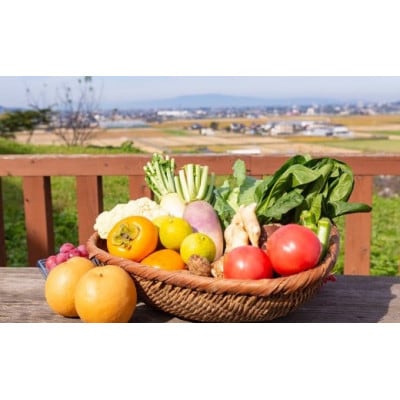 これでもか!!ギフト(季節の果物・お野菜) U064-1VE-SEKG