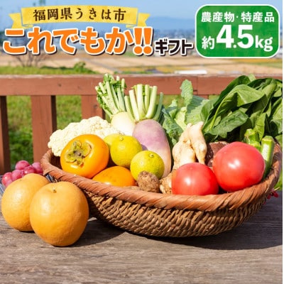 道の駅うきは これでもか!!旬の農産物セット (約4.5kg)