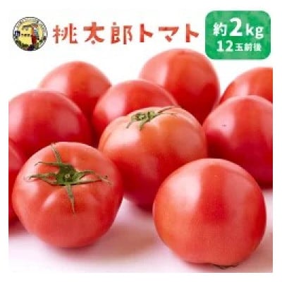 桃太郎トマト 12玉前後 約2kg U064-2VE-TM02