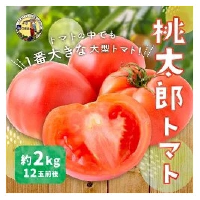 桃太郎トマト 12玉前後 約2kg U064-2VE-TM02