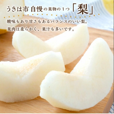 道の駅うきは 豊水梨または秋月梨 6～9玉(約3kg)【2026年8月下旬から9月上旬発送予定】