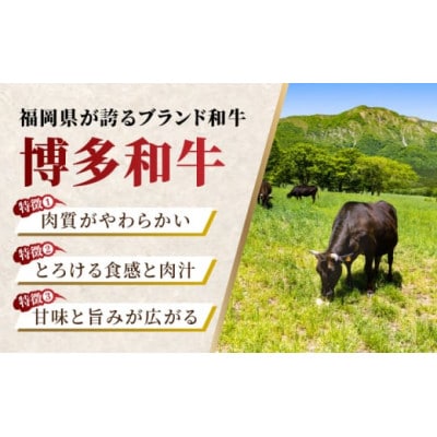 博多和牛極厚サーロインステーキ800g (200g×4枚)(うきは市) U050-1MT-BFS2