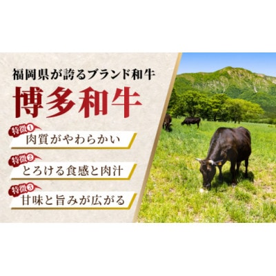 博多和牛赤身ロースステーキ食べ比べ700g(うきは市) U050-1MT-BFS5