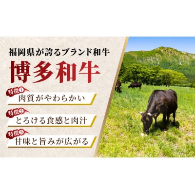 【毎月定期便】博多和牛赤身ロースステーキ食べ比べ700g U050-3MT-BFS5-12　全12回