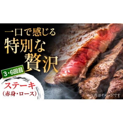 【毎月定期便】博多和牛食べ尽くし定期便 U050-3MT-BFS7-06(うきは市)全6回