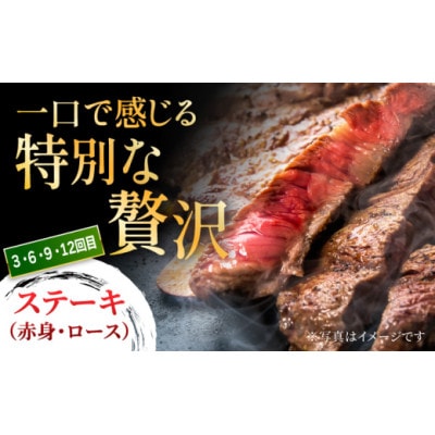 【毎月定期便】博多和牛食べ尽くし定期便 U050-3MT-BFS7-12(うきは市)全12回