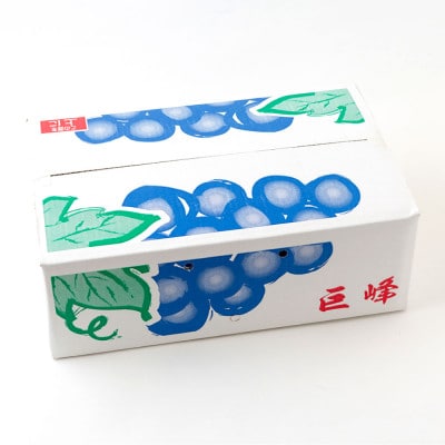 【先行予約】 やりみず農園 種なし 巨峰 2房から3房(約1kg)