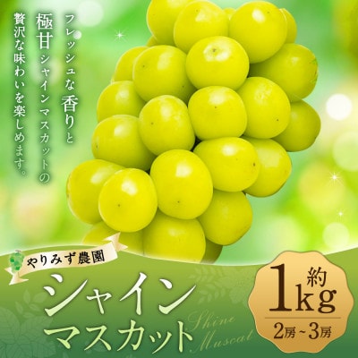 【先行予約】 やりみず農園 農家厳選! シャインマスカット 2房から3房(約1kg)