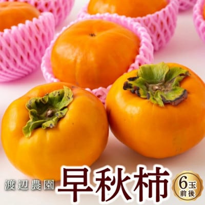 【のし付き】早秋柿 6玉前後U102-2KA-EA02