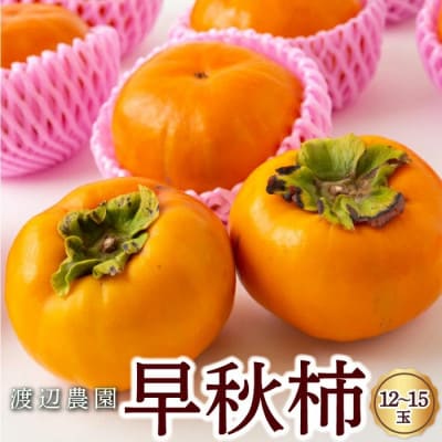 【のし付き】早秋柿 12～15玉U102-2KA-EA05