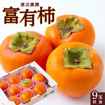 【のし付き】富有柿 9玉前後U102-2KA-FY03
