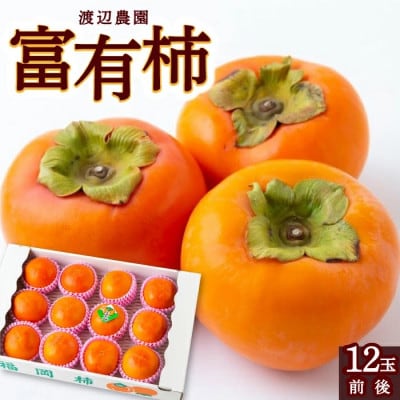 【のし付き】富有柿 12玉前後U102-2KA-FY05