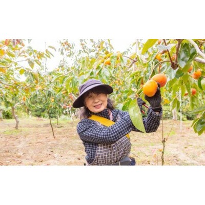 【2026年産先行受付】富有柿 9玉前後 U102-2KA-FY03