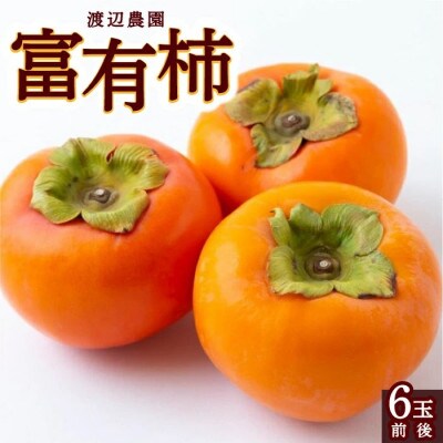 【2026年産先行受付】富有柿 6玉前後 U102-2KA-FY02