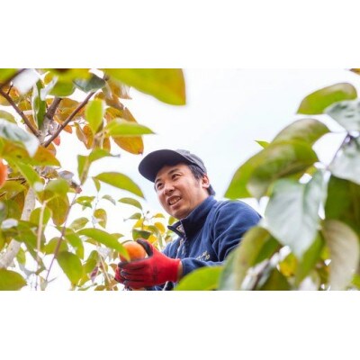 【2026年産先行受付】富有柿 6玉前後 U102-2KA-FY02