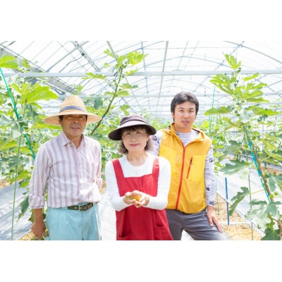 【2026年産先行受付け】いちじく(とよみつひめ2パック) U102-2OF-FG02