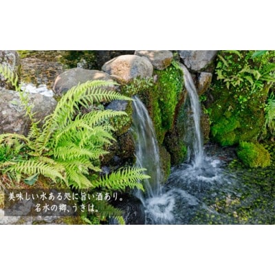 駿(純米酒)　1本(720ml)　U008-1DR-ALJ6