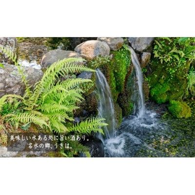 駿(特別純米酒)　1本(720ml)　U008-1DR-ALJ7