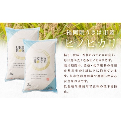 UKIHA RICE 白米5kg(通常栽培米)063-0058