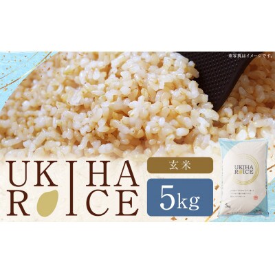 UKIHA RICE 玄米5kg(通常栽培米)063-0063 | ふるさと納税のお礼品