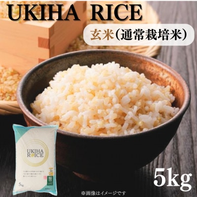 UKIHA RICE 玄米5kg(通常栽培米)063-0063