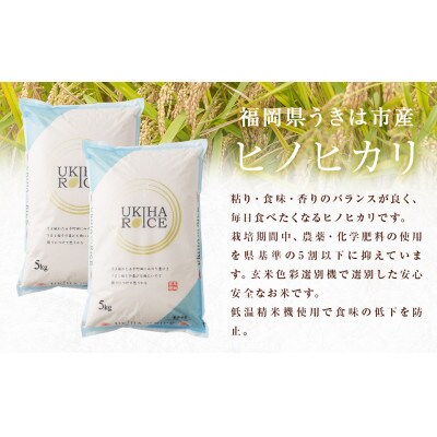 UKIHA RICE 玄米5kg(通常栽培米)063-0063