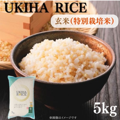 UKIHA RICE 玄米5kg(特別栽培米)063-0069