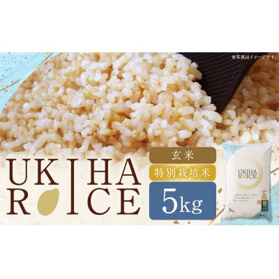 UKIHA RICE 玄米5kg(特別栽培米)063-0069