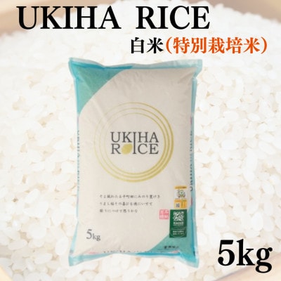 UKIHA RICE 白米5kg(特別栽培米)063-0064
