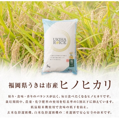 UKIHA RICE 白米5kg(特別栽培米) 063-0148x1