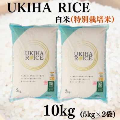 UKIHA RICE 白米10kg(特別栽培米)063-0064
