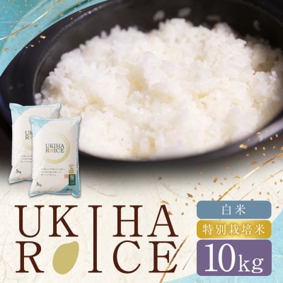 UKIHA RICE 白米10kg(特別栽培米) 063-0149x1