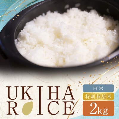 UKIHA RICE 白米2kg(特別栽培米)【2026年2月上旬から2026年8月下旬発送予定】