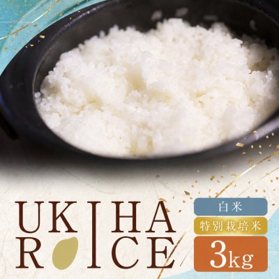 UKIHA RICE 白米3kg(特別栽培米)