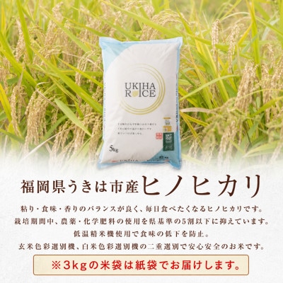 UKIHA RICE 白米3kg(特別栽培米)