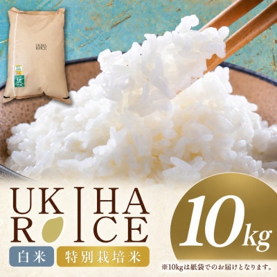 【令和8年産】UKIHA RICE 白米 10kg(特別栽培米)