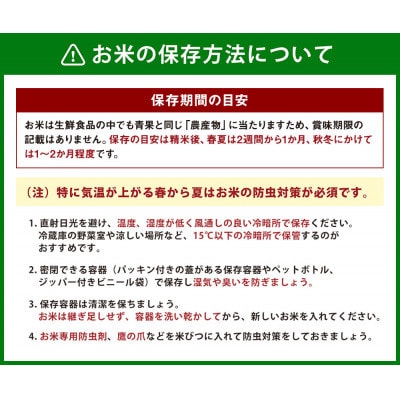 【令和8年産】UKIHA RICE 白米 10kg(特別栽培米)