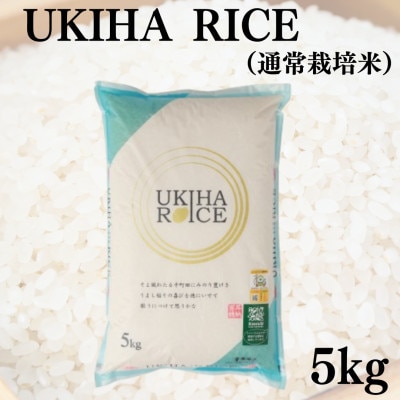 【毎月定期便】UKIHA RICE 白米5kg(通常栽培米)063-0060全3回