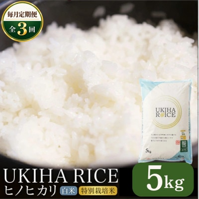 【毎月定期便】UKIHA RICE 白米 5kg (特別栽培米)全3回