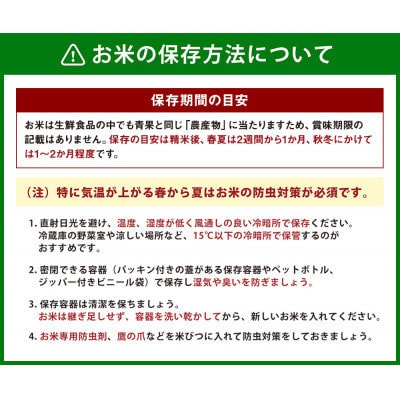 【毎月定期便】UKIHA RICE 白米 5kg (特別栽培米)全6回