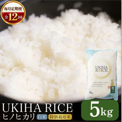 【毎月定期便】UKIHA RICE 白米 5kg (特別栽培米)全12回