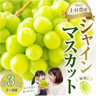 【7月中旬～8月中旬発送予定】 上村農園 シャインマスカット 5～8房 (約3kg)