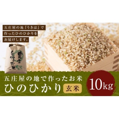 五庄屋の地で作ったお米 ひのひかり 玄米10kg U160-1RC-BW02-10